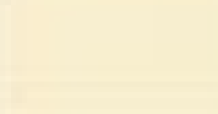 Beige Erle