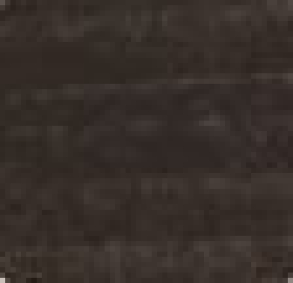 Ebeholz trans.